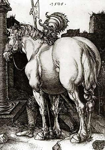 The Large Horse White Modern Wood Framed Art Print with Double Matting by Durer, Albrecht