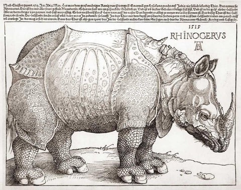 The Rhinoceros Black Ornate Wood Framed Art Print with Double Matting by Durer, Albrecht