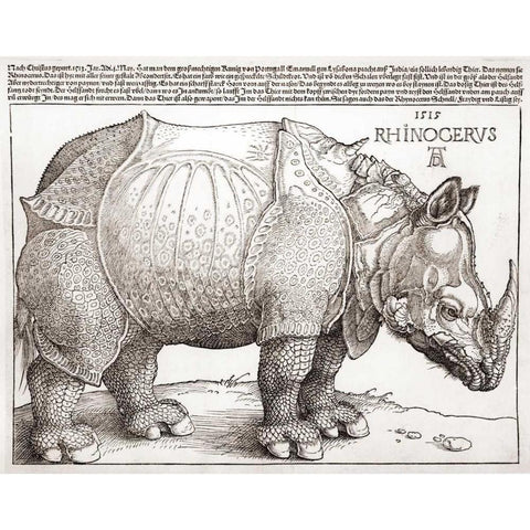 The Rhinoceros Gold Ornate Wood Framed Art Print with Double Matting by Durer, Albrecht