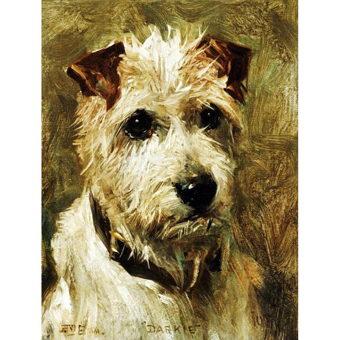 Portrait of a Terrier: Darkie White Modern Wood Framed Art Print by Emms, John