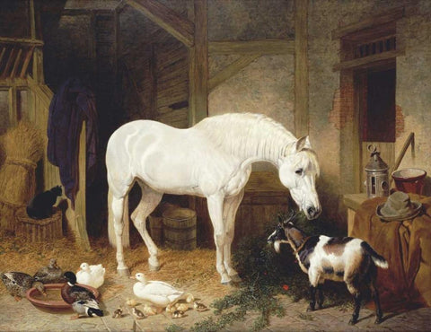 Stable Companions White Modern Wood Framed Art Print with Double Matting by Herring, John Frederick