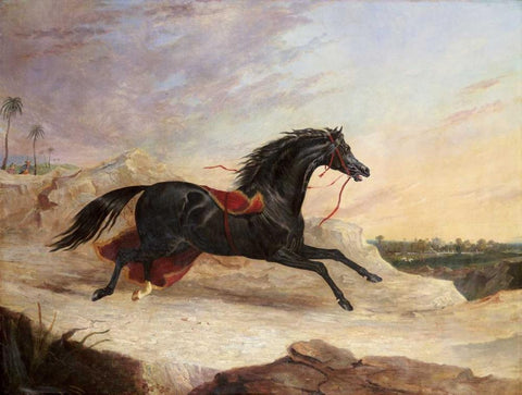 Arabs Chasing a Loose Arab Horse In An Eastern Landscape Black Ornate Wood Framed Art Print with Double Matting by Herring, John Frederick