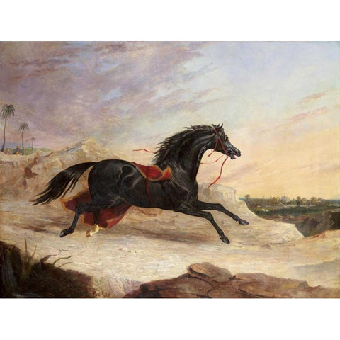 Arabs Chasing a Loose Arab Horse In An Eastern Landscape Black Modern Wood Framed Art Print by Herring, John Frederick