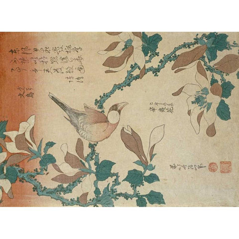 A Paddy Bird Perched On a Flowering Magnolia Branch Black Modern Wood Framed Art Print with Double Matting by Hokusai