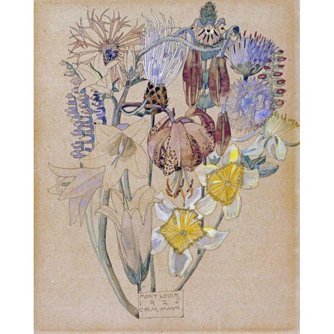 Mont Louis - Flower Study Gold Ornate Wood Framed Art Print with Double Matting by Mackintosh, Charles Rennie