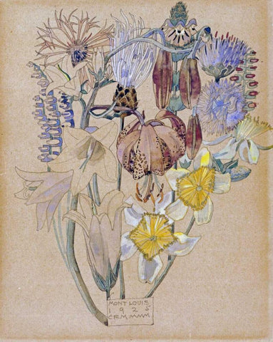 Mont Louis - Flower Study White Modern Wood Framed Art Print with Double Matting by Mackintosh, Charles Rennie