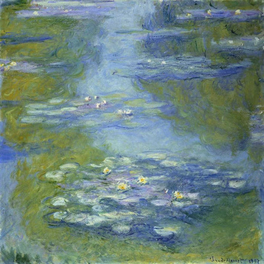 Image Only