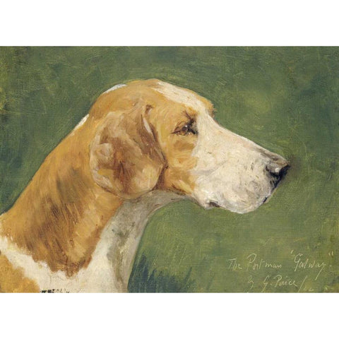 The Portman Galway Black Modern Wood Framed Art Print with Double Matting by Paice, George