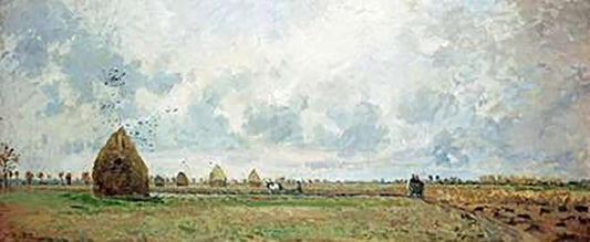 Image Only