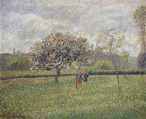 Apple Tree Blossom at Eragny White Modern Wood Framed Art Print with Double Matting by Pissarro, Camille