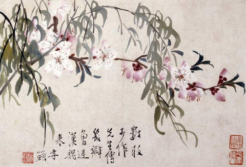 Willow and Peach Blossoms Black Ornate Wood Framed Art Print with Double Matting by Shan, Li