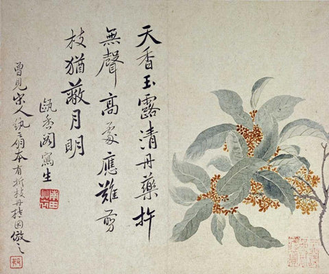 Cassia White Modern Wood Framed Art Print with Double Matting by Shouping, Yun