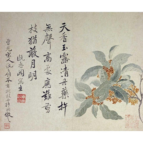 Cassia Black Modern Wood Framed Art Print with Double Matting by Shouping, Yun