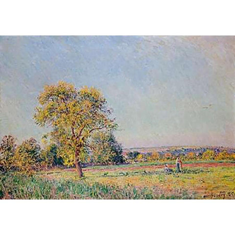 A Summers Day Black Modern Wood Framed Art Print with Double Matting by Sisley, Alfred