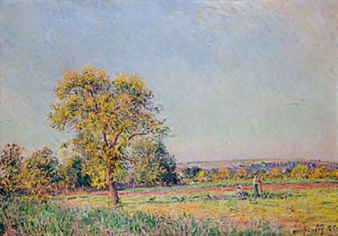 A Summers Day White Modern Wood Framed Art Print with Double Matting by Sisley, Alfred