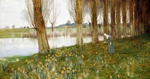 The Amber Vale, a Host of Golden Daffodils White Modern Wood Framed Art Print with Double Matting by Sowerby, John George