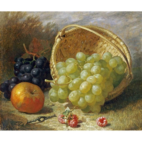 An Upturned Basket of Grapes, An Apple and Other Fruit Black Modern Wood Framed Art Print with Double Matting by Stannard, Eloise Harriet