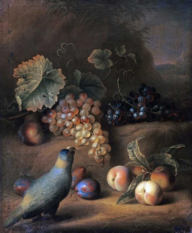 A Parrot With Grapes, Peaches and Plums In a Landscape Black Ornate Wood Framed Art Print with Double Matting by Stranover, Tobias