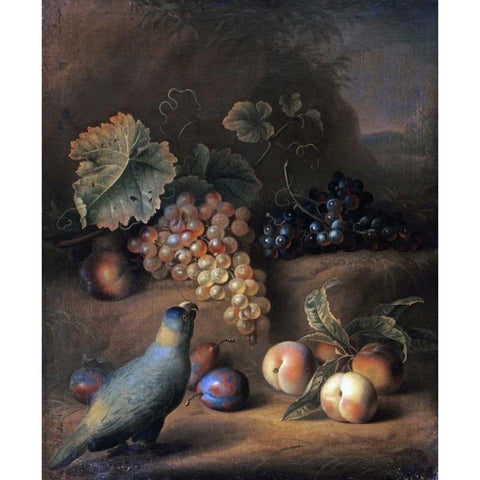 A Parrot With Grapes, Peaches and Plums In a Landscape Gold Ornate Wood Framed Art Print with Double Matting by Stranover, Tobias