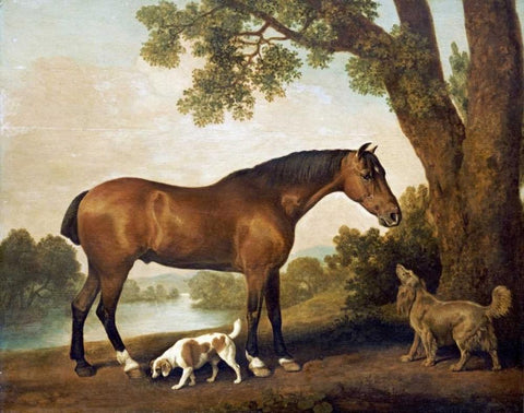 A Bay Hunter, a Springer Spaniel and a Sussex Spaniel, 1782 White Modern Wood Framed Art Print with Double Matting by Stubbs, George