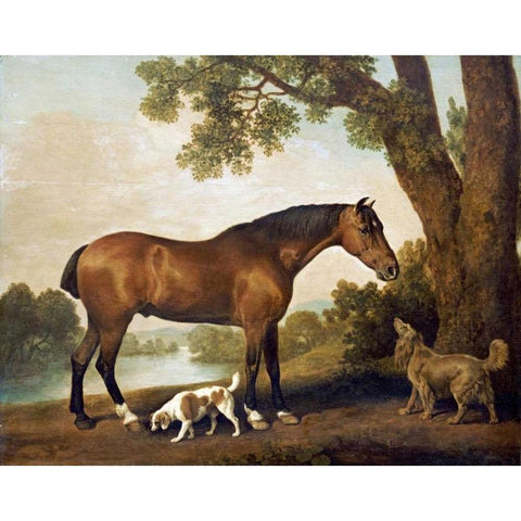 A Bay Hunter, a Springer Spaniel and a Sussex Spaniel, 1782 White Modern Wood Framed Art Print by Stubbs, George