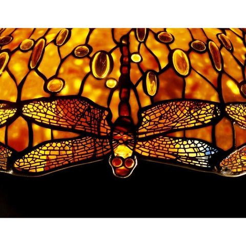 Detail of An Important Dichroic Dragonfly Black Modern Wood Framed Art Print by Tiffany Studios