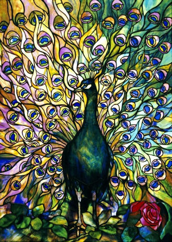 Fine Peacock White Modern Wood Framed Art Print with Double Matting by Tiffany Studios