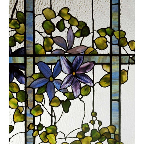 Detail of a Clematis Black Modern Wood Framed Art Print by Tiffany Studios