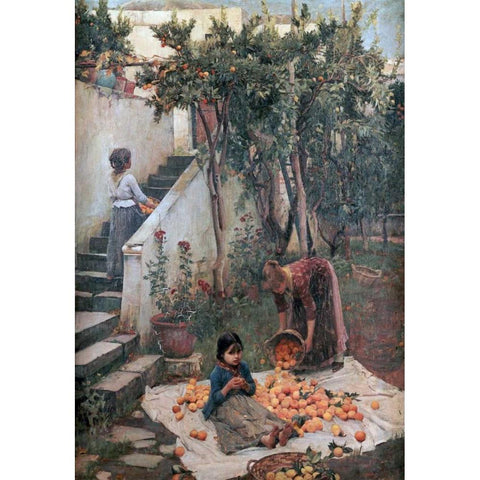 The Orange Gatherers White Modern Wood Framed Art Print by Waterhouse, John William