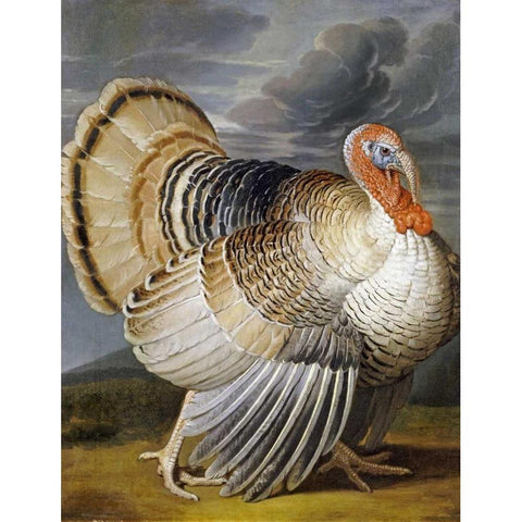 A Turkey In a Landscape Gold Ornate Wood Framed Art Print with Double Matting by Wenceslaus, Peter