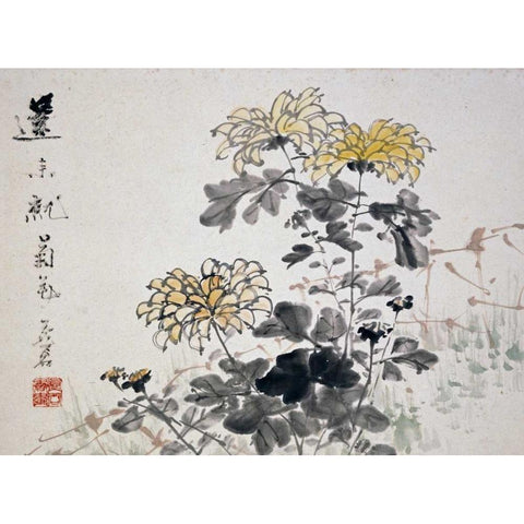 Chrysanthemums White Modern Wood Framed Art Print by Gu, Xu