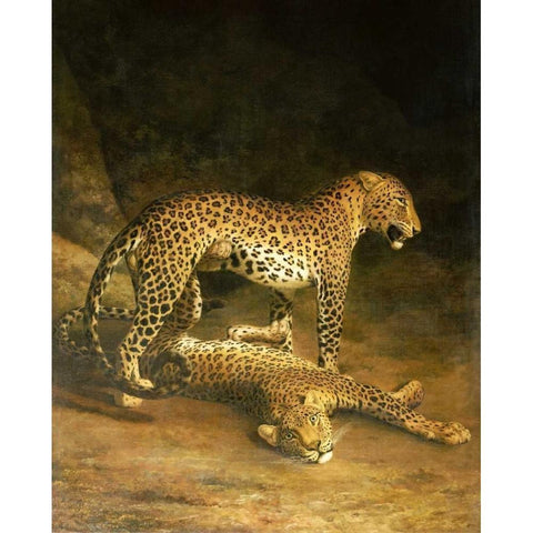 Two Leopards Lying In The Exeter Exchange Black Modern Wood Framed Art Print by Agasse, Jacques-Laurent