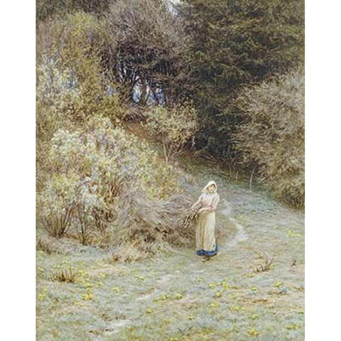 In The Primrose Wood White Modern Wood Framed Art Print by Allingham, Helen