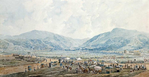 A View of Happy Valley Race Course, Hong Kong Black Ornate Wood Framed Art Print with Double Matting by Baptista, Marciano