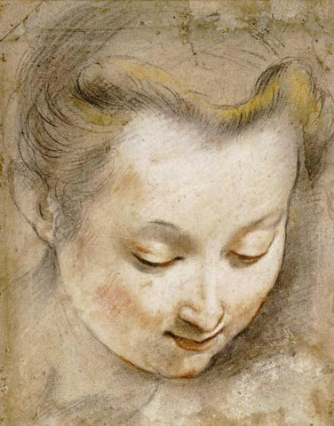 The Head of a Woman Black Ornate Wood Framed Art Print with Double Matting by Barocci, Frederico