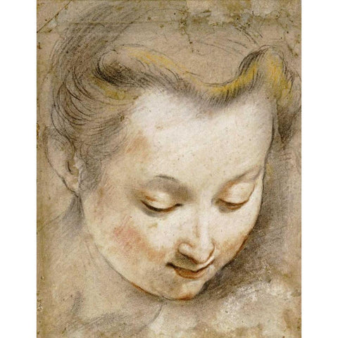 The Head of a Woman Black Modern Wood Framed Art Print by Barocci, Frederico