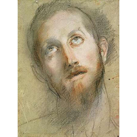 Study For The Head of Museumist White Modern Wood Framed Art Print by Barocci, Frederico