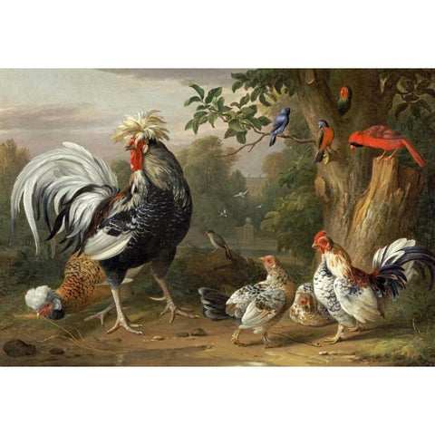 Poultry and Other Birds In The Garden of a Mansion Black Modern Wood Framed Art Print with Double Matting by Bogdany, Jacob