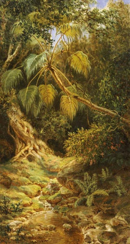 Jungala Cubana Black Ornate Wood Framed Art Print with Double Matting by Chartrand, Esteban