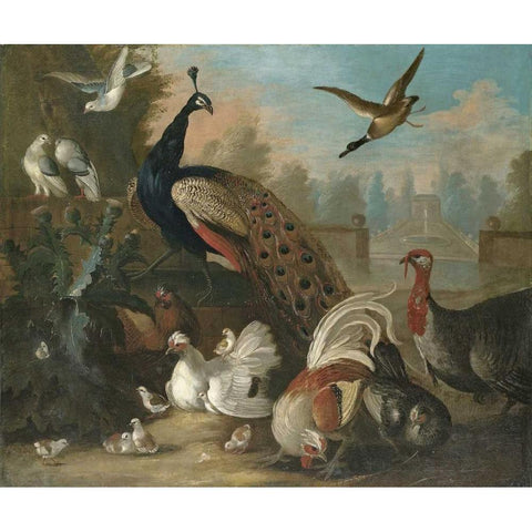 A Peacock and Other Birds Black Modern Wood Framed Art Print with Double Matting by Craddock, Marmaduke