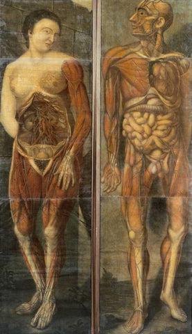 Anatomical Drawings of Male and Female Figures Black Ornate Wood Framed Art Print with Double Matting by Dagoty, Jacques Fabian Gautier