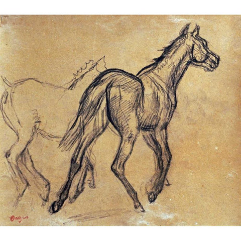 Horses White Modern Wood Framed Art Print by Degas, Edgar