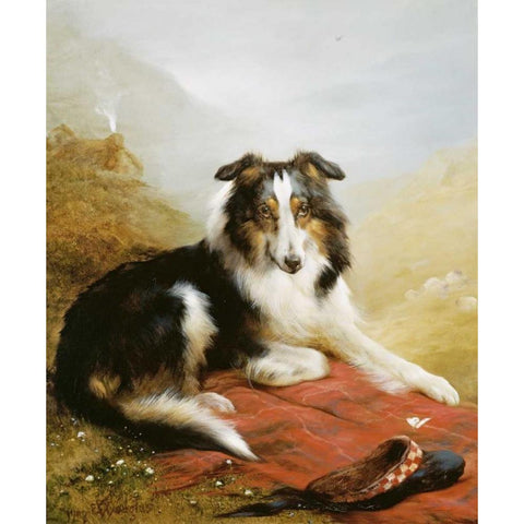 A Collie, The Guardian of The Flock Gold Ornate Wood Framed Art Print with Double Matting by Douglas, Edwin