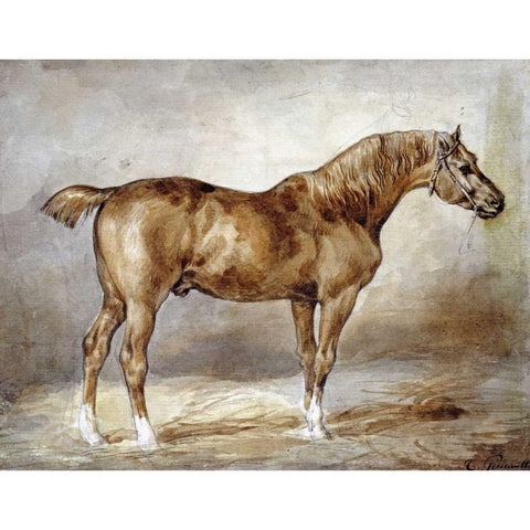 Cheval a LEcurie White Modern Wood Framed Art Print by Gericault, Theodore