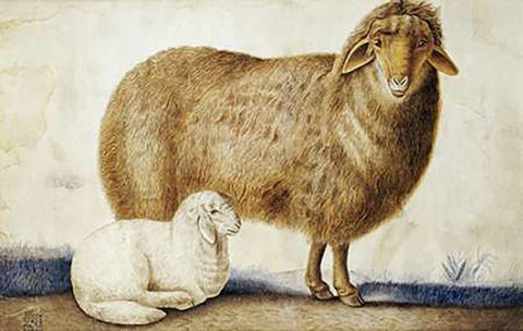 A Ewe and Her Lamb White Modern Wood Framed Art Print with Double Matting by Ghaffari, Abul Hasan