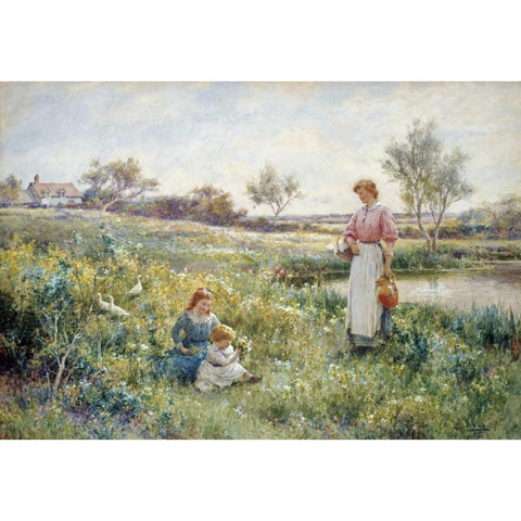 Summer Flowers Black Modern Wood Framed Art Print by Glendening, Alfred Augustus