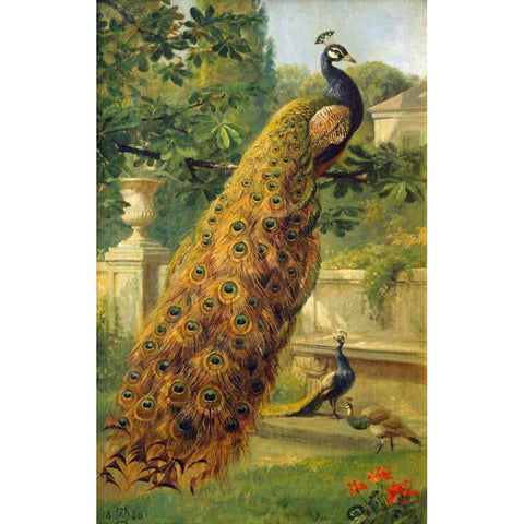 Peacocks In The Park White Modern Wood Framed Art Print by Hermansen, Olaf August