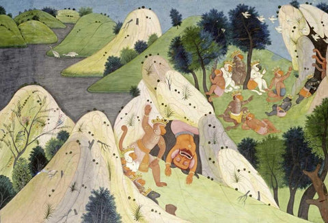 Hindur and Some Monkey Princes White Modern Wood Framed Art Print with Double Matting by Hindur