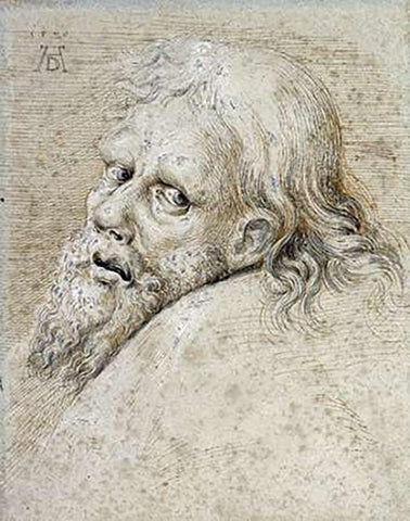 The Head of a Bearded Man Black Ornate Wood Framed Art Print with Double Matting by Durer, Albrecht