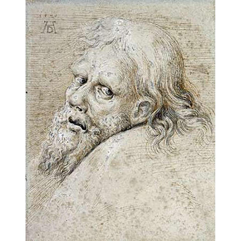 The Head of a Bearded Man White Modern Wood Framed Art Print by Durer, Albrecht